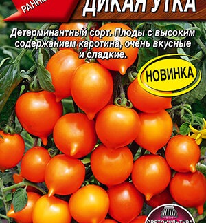 Томат Дикая утка