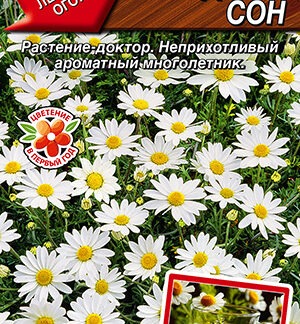 Ромашка римская Сладкий сон