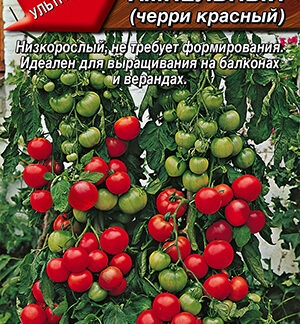 Томат Ампельный