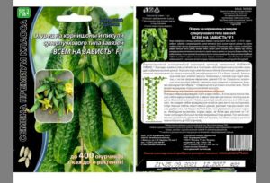 Семена Огурец Всем на зависть F1