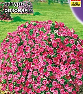 Петуния Джоконда F1 сатурн розовая