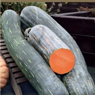 Тыква СЕМЕЙНАЯ