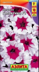 Петуния Галактика F1 обильноцветущая