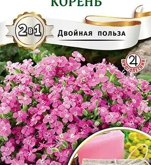 Сапонария Мыльный корень