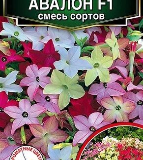 Табак сандера Авалон F1, смесь сортов