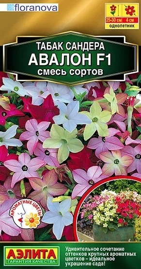 Табак сандера Авалон F1, смесь сортов