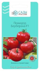 Томат Берберана F1