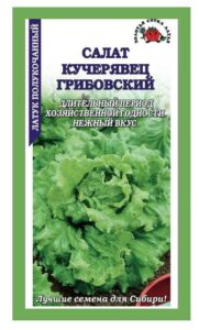 Салат Кучерявец грибовский /Сотка