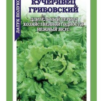 Салат Кучерявец грибовский /Сотка