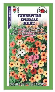 Тунбергия Крылатая микс