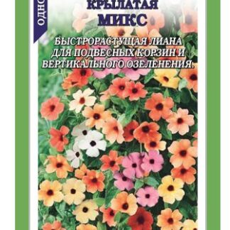 Тунбергия Крылатая микс