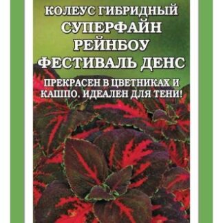 Колеус Суперфайн Рейнбоу Фестиваль Денс