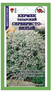 Кермек Серебристо-белый /Сотка/ 0,05г