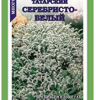 Кермек Серебристо-белый /Сотка/ 0,05г