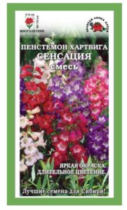 Пенстемон Хартвега Сенсация /Сотка/ 0,05г