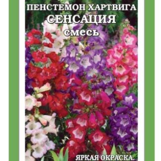 Пенстемон Хартвега Сенсация /Сотка/ 0,05г