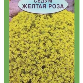 Седум Желтая Роза /Аэлита