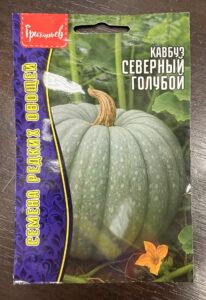 Кавбуз Северный голубой