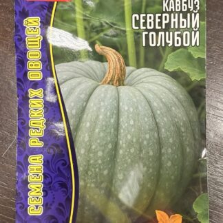 Кавбуз Северный голубой